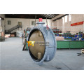 Dn1400 Double Flange Butterfly Valve (D41X-10/16)